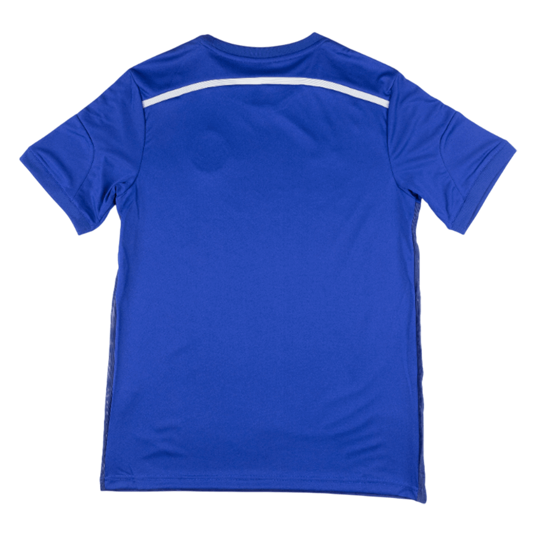 Retro Chelsea Thuis Voetbalshirt 2014/15 - achterkant