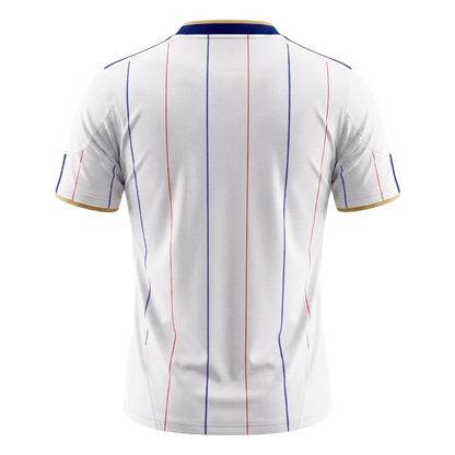 Retro Frankrijk Uit Voetbalshirt 2010 - achterkant